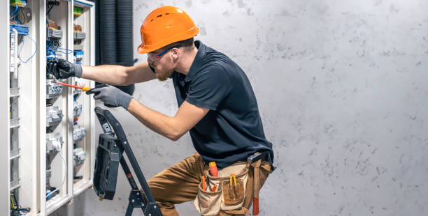Best Electric Panel Repair  in Deerfield, WI